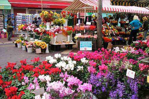 Cours Saleya Flower Market