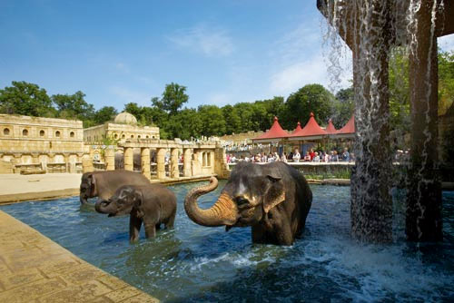 Erlebnis Zoo in Hannover