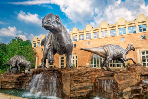 Fernbank Museum of Natural History in Atlanta