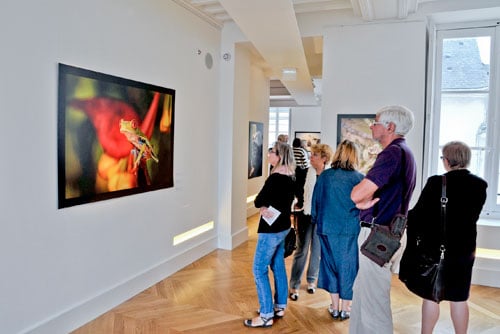 Galerie du Lion in Orleans