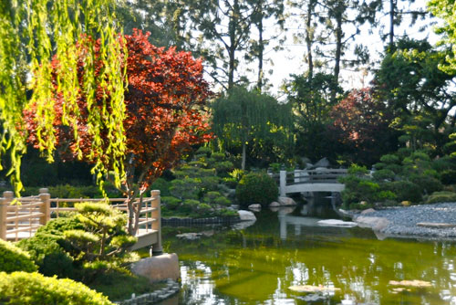 Japanese Garden in Long Beach
