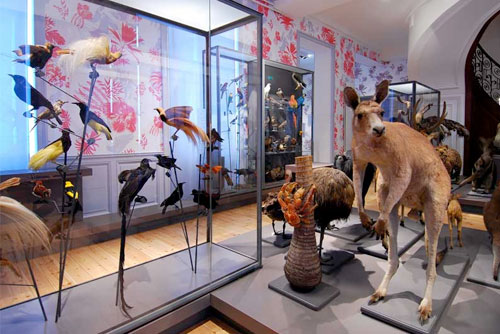 Muséum d'Histoire naturelle de La Rochelle