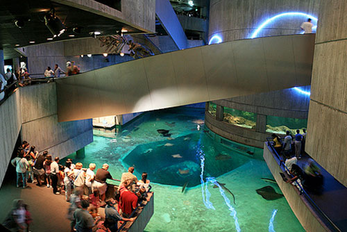National Aquarium in Baltimore