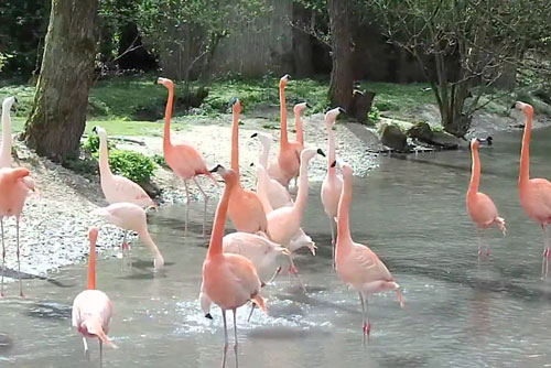 Zoo Schmiding in Wels