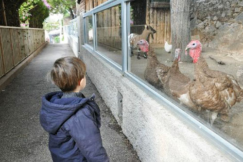 Zoological Gardens in La Condamine