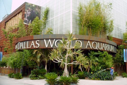 Dallas World Aquarium