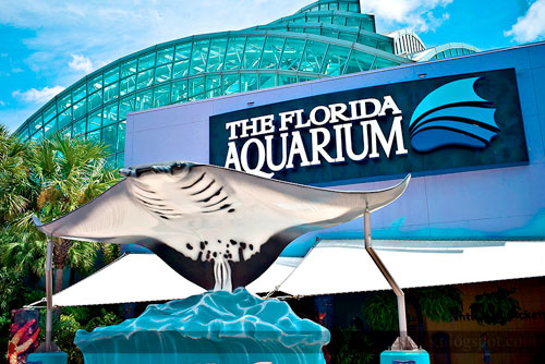 The Florida Aquarium