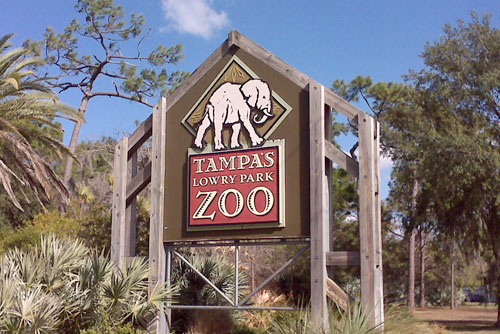 Lowry Park Zoo in Tampa