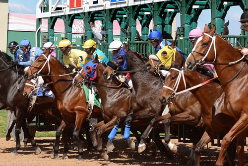 Sam Houston Race Park
