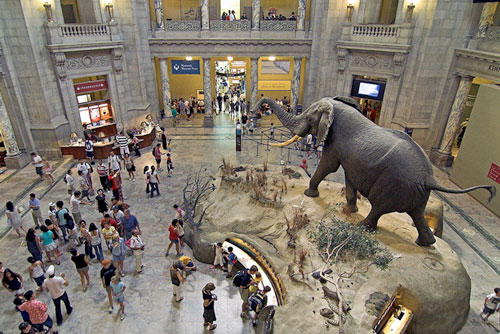 National Museum in Washington, DC