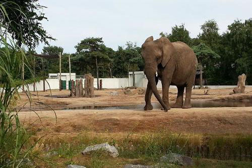 Beekse Bergen Safari Park in Tilburg