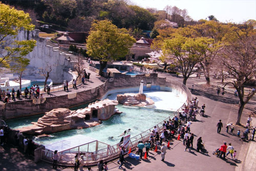 Higashiyama Zoo in Nagoya