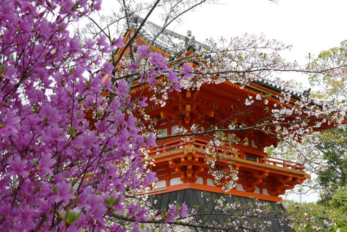 Ninna-ji Temple in Kobe