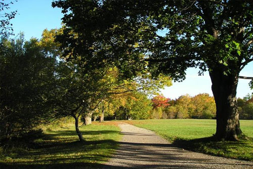 Petersfield Provincial Park in Sydney, NS