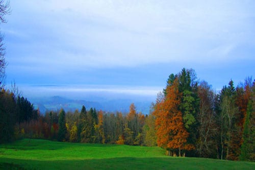 Wildpark in St. Gallen