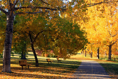 Confederation Park in Calgary