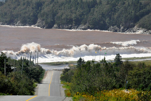 Irving Nature Park in Saint John