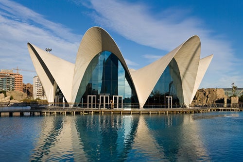 l'oceanografic in Valencia