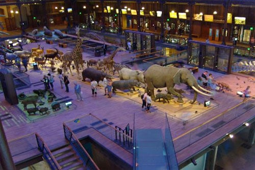 Luxembourg National Museum of Natural History