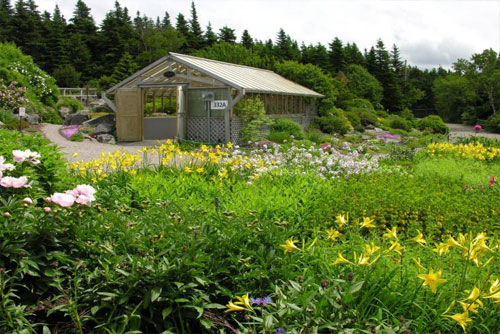 Mun Botanical Garden in St. John's