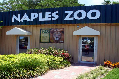 Naples zoo attraction