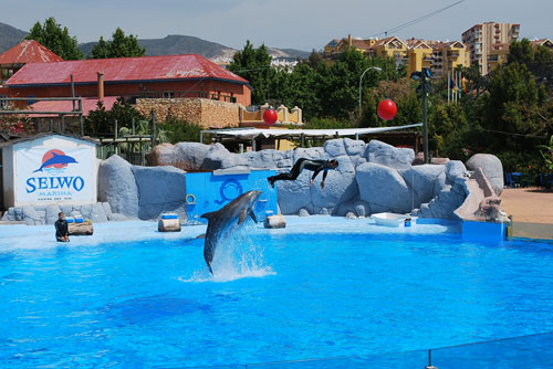 Selwo Marina in Marbella