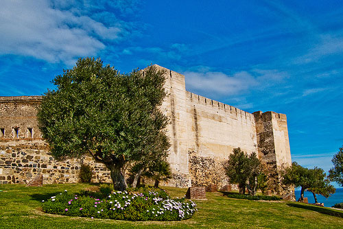 Torre Ladrones in Marbella