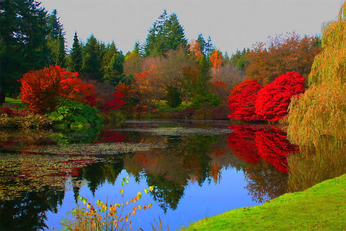 Vandusen Botanical Garden in Vancouver