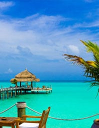 Tropical Weekend Getaway