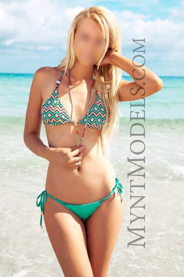 High class Scandinavian travel escort Europe