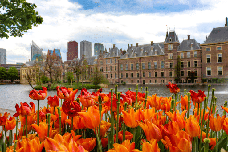 Destinations to Discover in The Hague with a Classy Companion