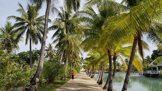Escort Agency in Fiji - Upscale Travel Companions 3 Best Place in Fiji