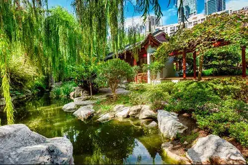 Elite Escort Sydney 3 Gardens in Sydney