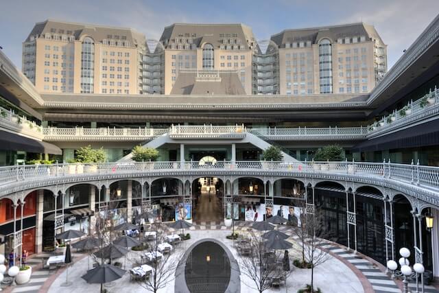 Dallas Escorts 13 Business in Dallas Dallas Escorts