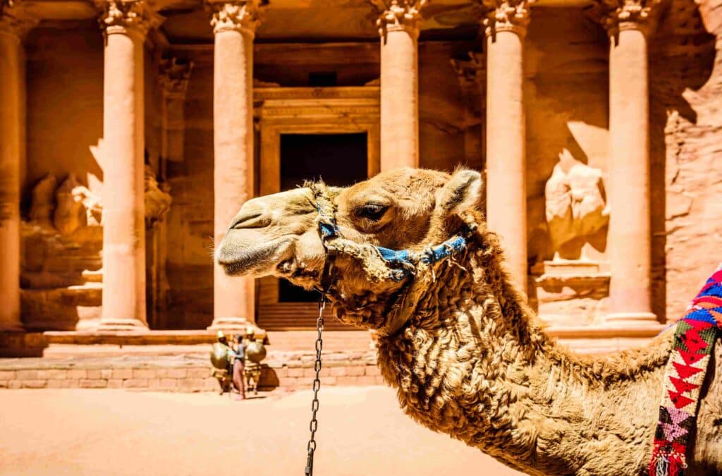 Petra Jordan Beautiful Captures Luxury VIP Escorts in Petra