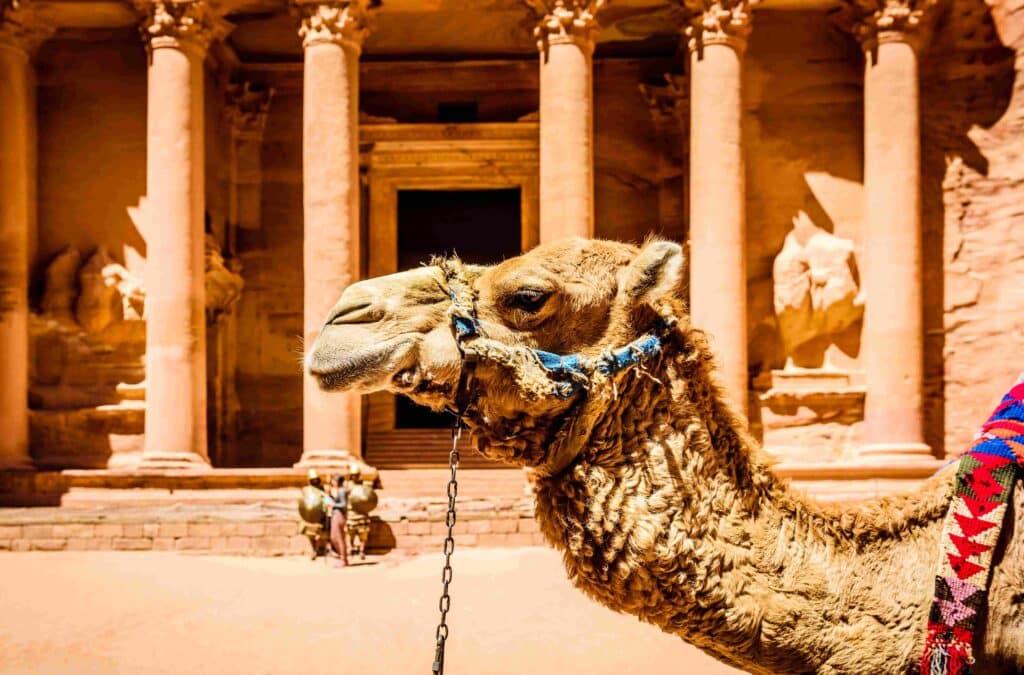 Luxury VIP Escorts in Petra 3 Petra Jordan Beautiful Captures Luxury VIP Escorts in Petra