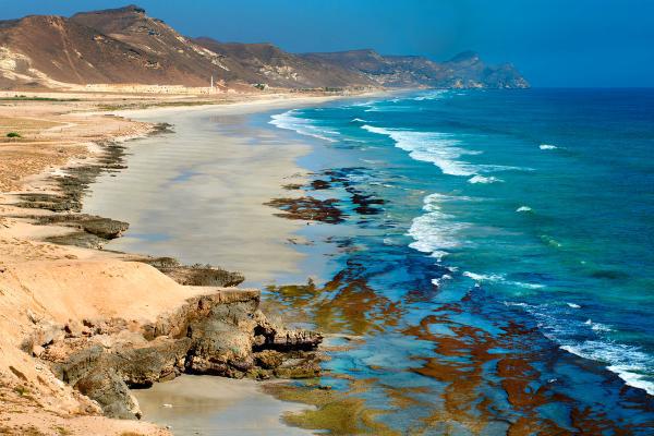 VIP Female Escorts in Salalah 12 Salalah Weather VIP Female Escorts in Salalah