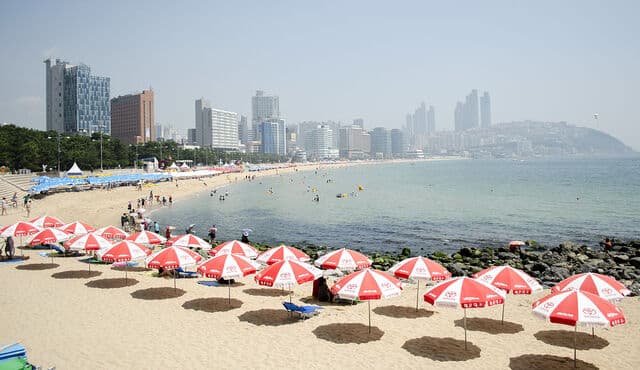 Elite Escorts in Busan 10 Beach in Busan Elite Escorts in Busan