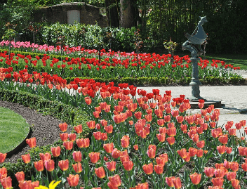 Jardin des Plantes High-Class Escorts in Le Mans