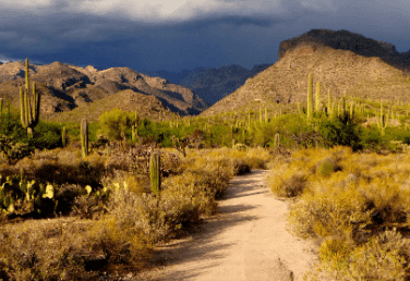 Tucson Escorts 11 Sabino Canyon Tucson Escorts