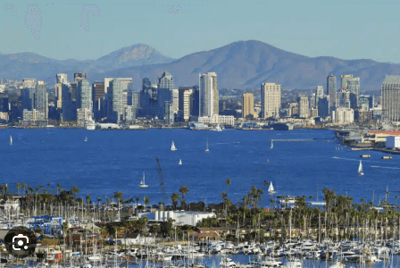 San Diego Escorts 14 San Diego Business San Diego Escorts
