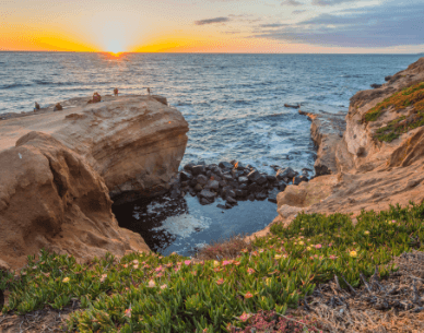 Sunset Cliffs Natural Park San Diego Escorts