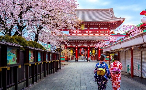 High Class Escort Tokyo 12 Discovering Tokyos Climate and Ideal Timing High Class Escort Tokyo