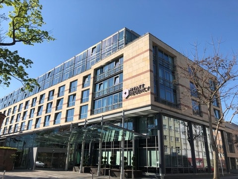 Opulent Stays Mainzs Premier Hotels High-End Escorts in Mainz
