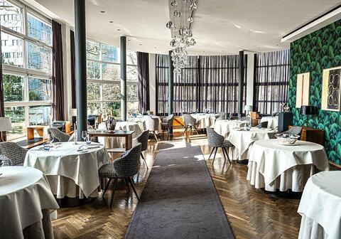 Taste of Frankfurts Culinary Diversity and Nightlife VIP Escort Service Frankfurt