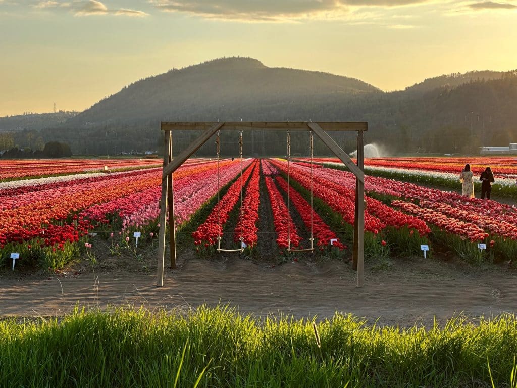 The Gardens at the University of the Fraser Valley​ Elite Abbotsford Escorts
