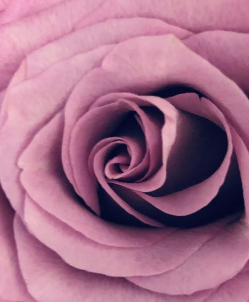 Building ongoing connections | repeated dinner dates with your favorite companion