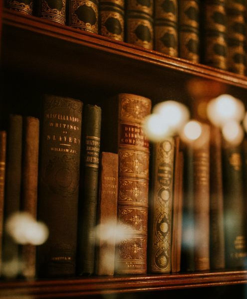 Discover intelligent escorts for erudite evenings with Mynt Models