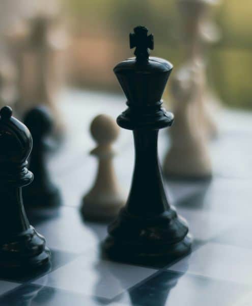 Elite GFE escorts make your evening sparkle at Mynt Models