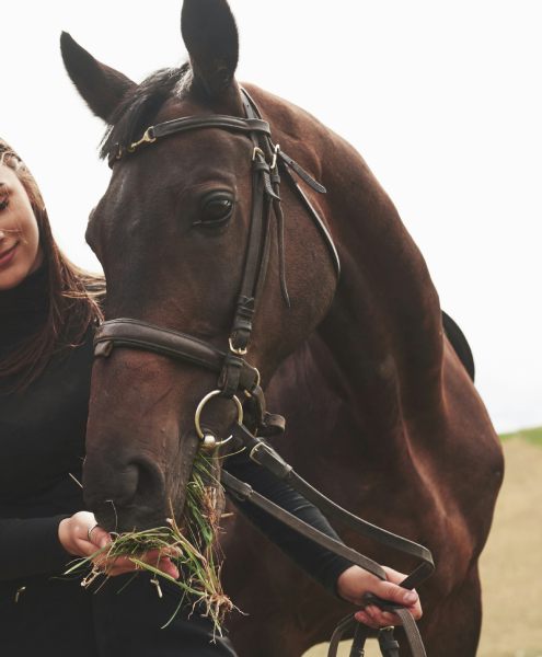 Equestrian and social events in London